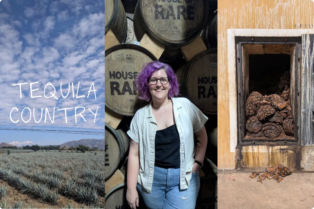 A weekend in Tequila country