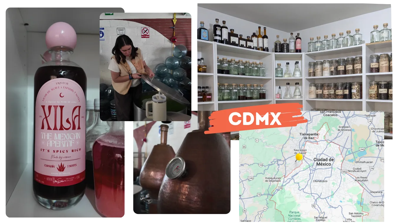Taking an Uber to Estado de Mexico